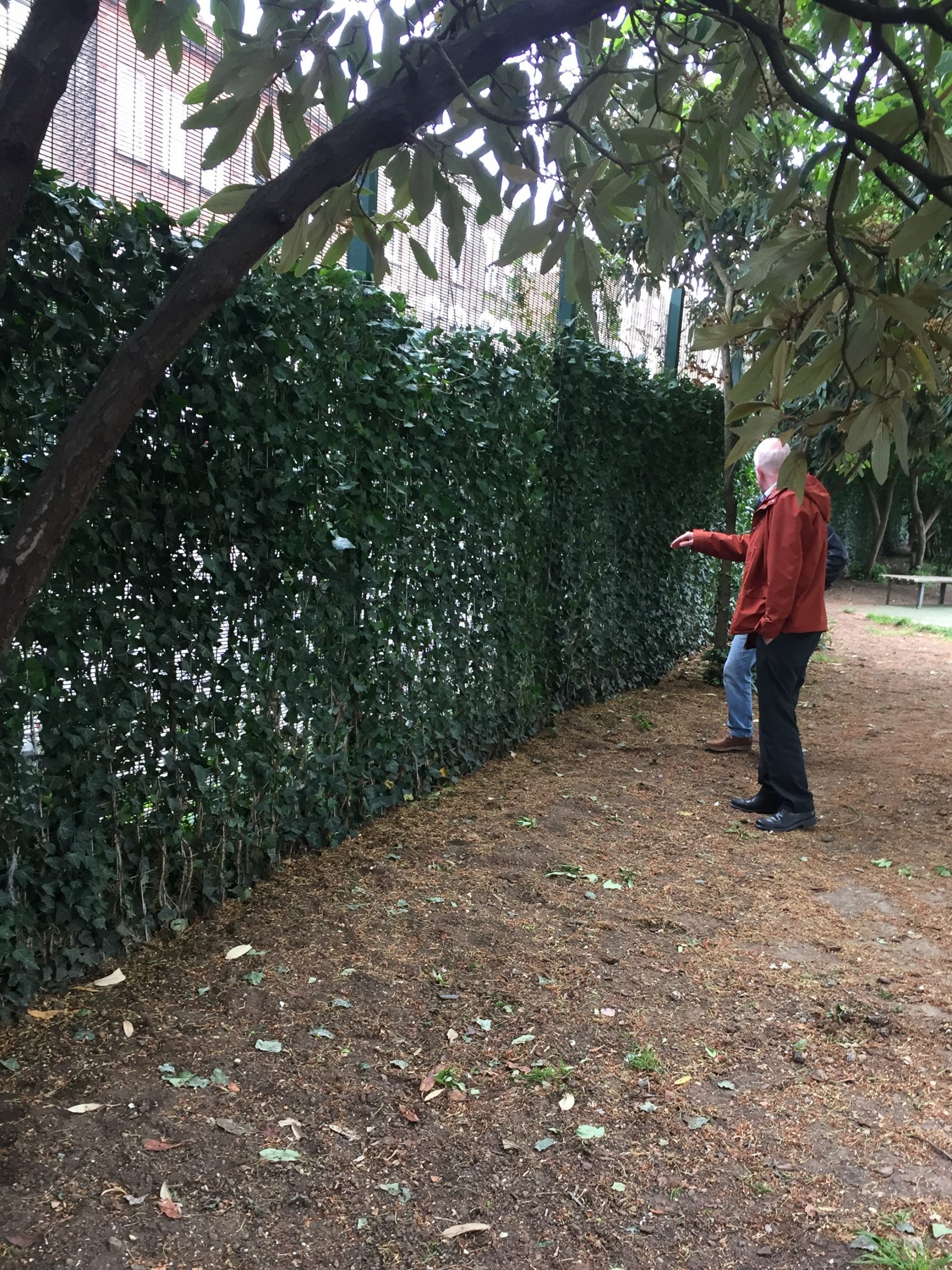 Green Screens – Scheme identification + installation 2021 – 2024